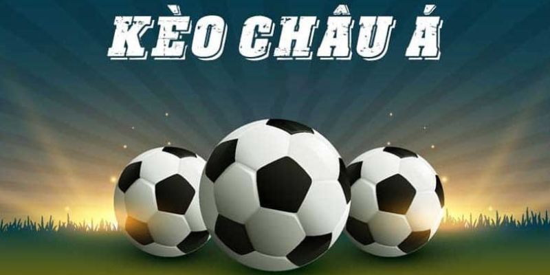 Một số kinh nghiệm tổng hợp từ chuyên gia 