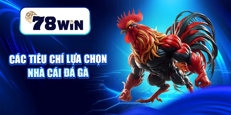 Các tiêu chí lựa chọn nhà cái đá gà