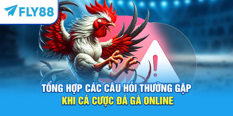 Cá Cược Đá Gà Online – Hướng Dẫn Chơi, Kinh Nghiệm Thắng Lớn 5 Tổng hợp các câu hỏi thường gặp khi cá cược đá gà online