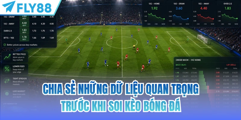 Chia sẻ những dữ liệu quan trọng trước khi soi kèo bóng đá